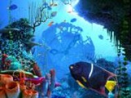 Coral Clock 3D Photo Screensaver screenshot